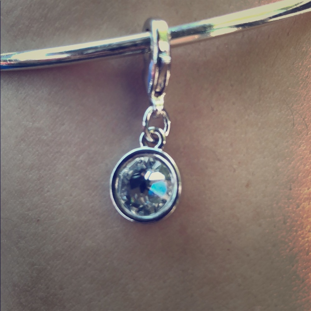 Swarovski Crystal Charm